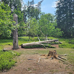 Photo n°5 de l'avis de Petra.l fait le 07/06/2023 à 16:27 sur le  Der Schafstall - Das Café-Restaurant im Büsenbachtal à Handeloh