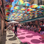 Photo n°3 de l'avis de Ray.e fait le 05/07/2023 à 07:38 sur le  Sol e Pesca à Lisbon