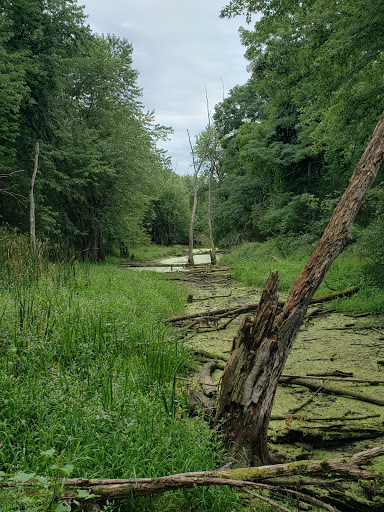 Nature Preserve «Great Flats Nature Trail», reviews and photos, W Campbell Rd, Schenectady, NY 12306, USA