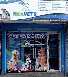 Medical vet's veterinaria