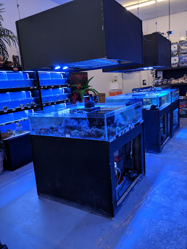 Pet Store «Mandarin SeaLife», reviews and photos, 9633 Old St Augustine Rd #2, Jacksonville, FL 32257, USA