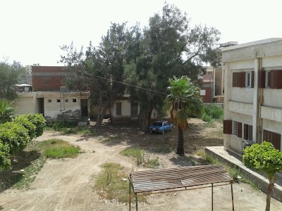 Photos of Post Office - El Koum El Taweel