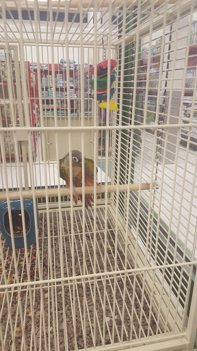 Pet Supply Store «Petco Animal Supplies», reviews and photos, 5263 Campbell Blvd, Nottingham, MD 21236, USA