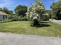 Complete Lawn Care - Photo 8 - Car repair in , Norwich