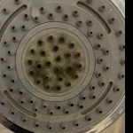 Photo n°7 de l'avis de Domix2006x. fait le 15/08/2023 à 19:57 sur le  Hotel Soraya à Lignano Sabbiadoro