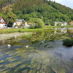 Photo n°3 de l'avis de Erwin.. fait le 11/06/2018 à 21:27 sur le  Hotel Am Schlossberg à Ziegenrück