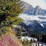 Photo n°1 de l'avis de Flavio.a fait le 18/02/2024 à 14:40 sur le  Gasthof Meierei à Welschnofen