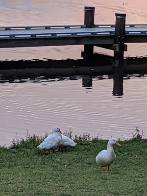 Lake Kedron Park - photo 3