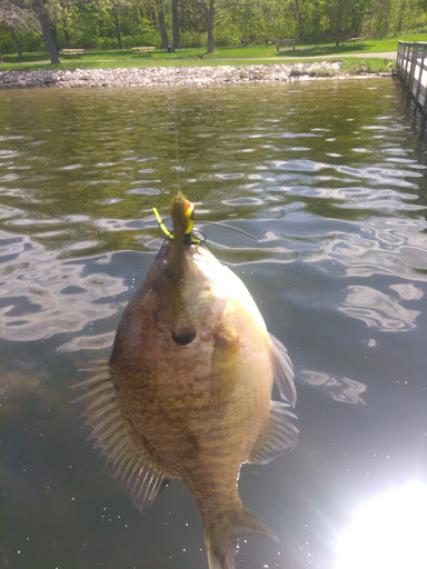 Park «Baker Park Reserve», reviews and photos, 2309 Baker Park Rd, Maple Plain, MN 55359, USA