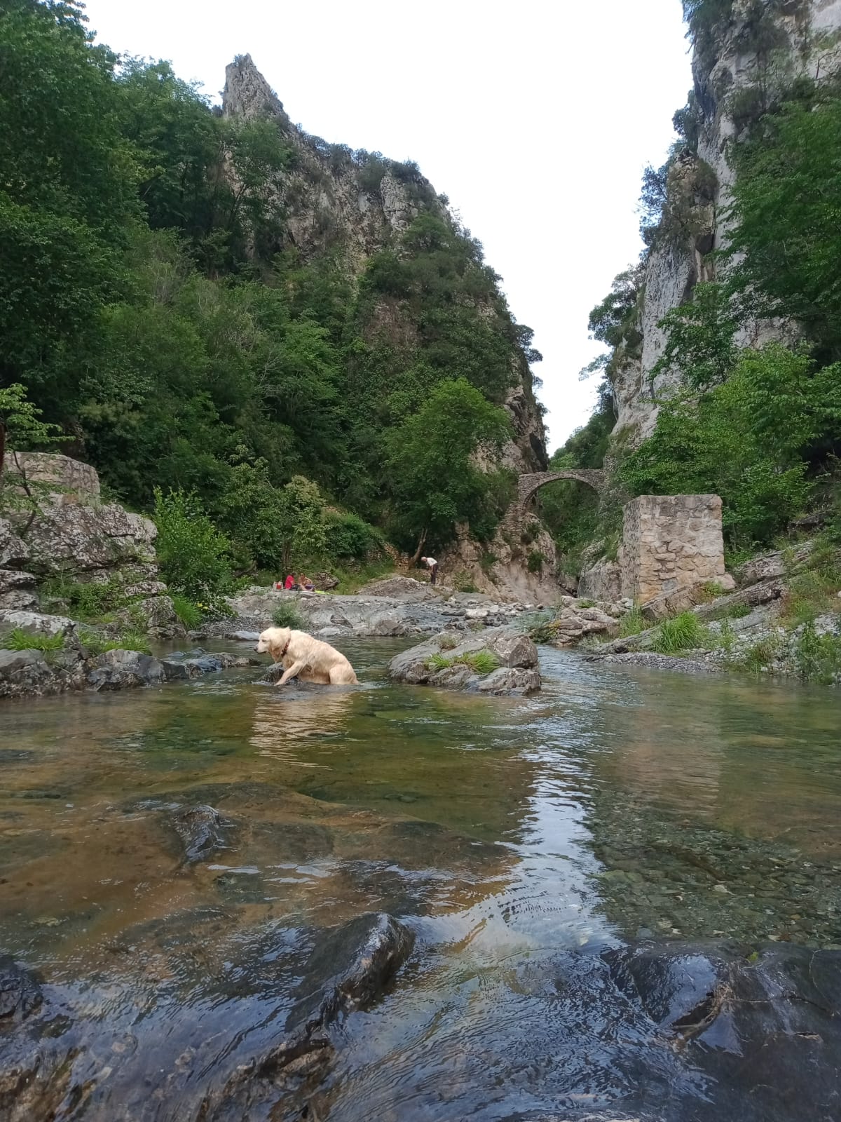 Photo n° 1 de l'avis de nadja.a fait le 20/06/2023 à 20:19