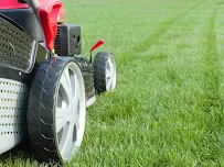 Grasshopper Lawn Care Services, LLC - Car repair in , Racine - Rated 4.8/5
