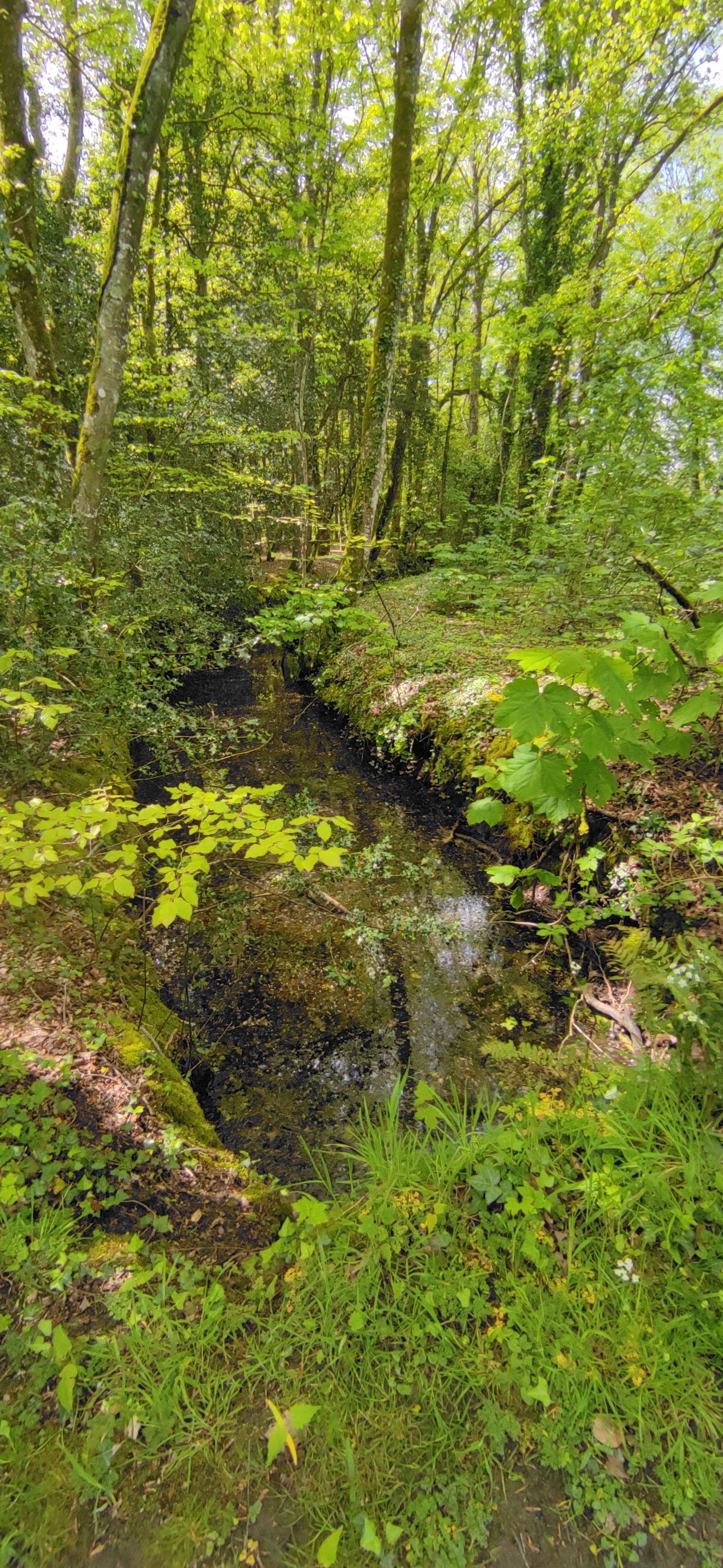 Photo n° 5 de l'avis de S. fait le 29/04/2023 à 16:54
