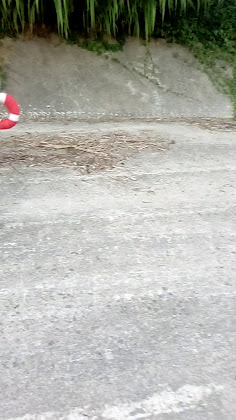 Vidéos Hébergement Residence Queen Mary 47841 Cattolica