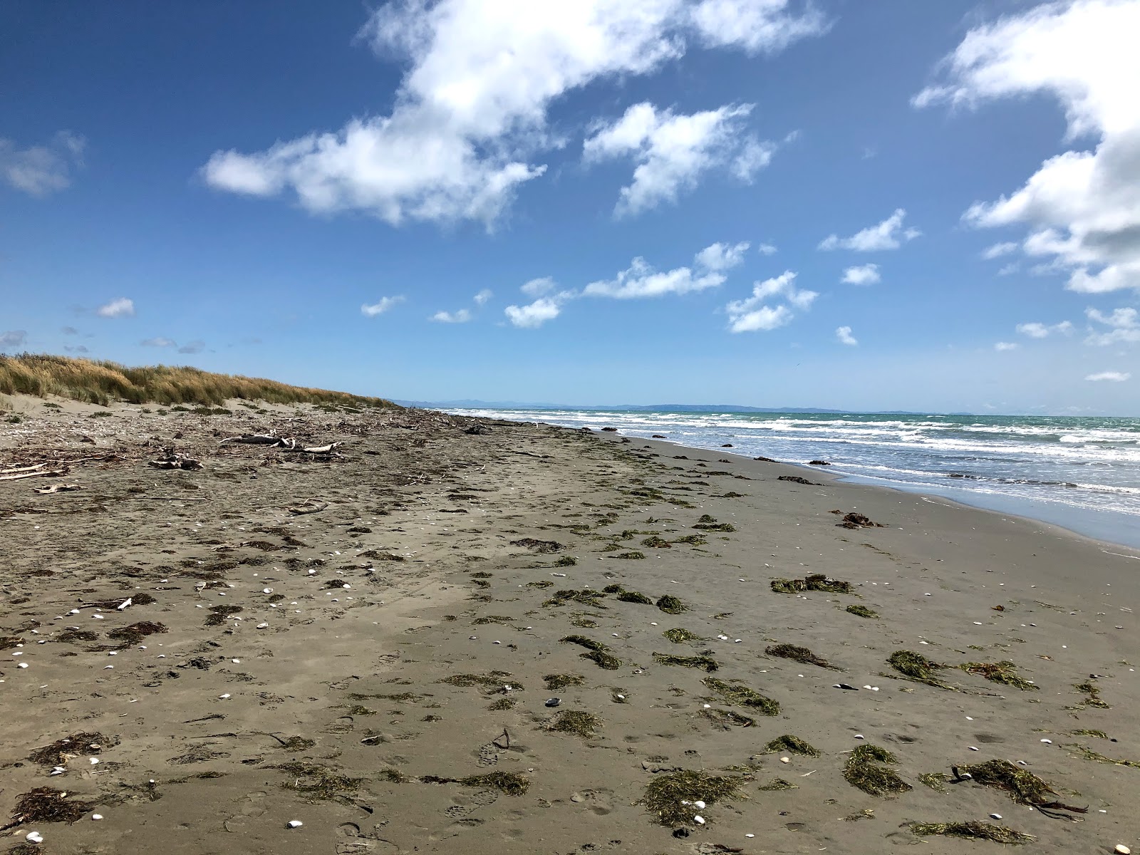 Southshore Spit Beach'in fotoğrafı - tatil için iyi evcil hayvan dostu nokta