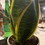 Photo n°1 de l'avis de carmine.o fait le 16/12/2023 à 21:35 sur le  Laghetto Montano à Trevico