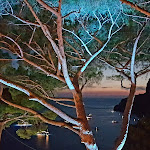 Photo n°5 de l'avis de Christine.E fait le 16/09/2018 à 05:25 sur le  Hotel Punta Tragara à Capri