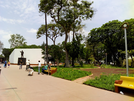 Parques para hacer picnic en Guadalajara