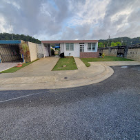 Yiré landscaping Limpieza y Mantenimiento Áreas Verdes - Photo 3 - Car repair in Florida, Puerto Rico, Arecibo