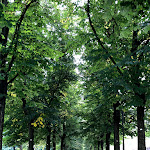 Photo n°21 de l'avis de stephen.o fait le 06/09/2018 à 11:42 sur le  Quelli Che Ben Pensano à Turin