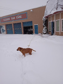 Classic Car Care - Photo 5 - Car repair in Flint, MI, Flint