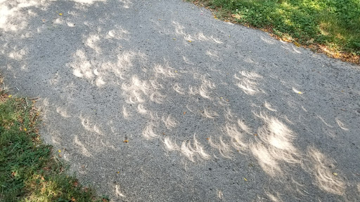 Park «Robsion Park», reviews and photos, Robsion Park Dr, Lyndon, KY 40222, USA