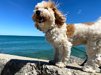 Urban Tailz - Photo 4 - Car repair in Chicago, IL, Chicago