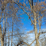 Photo n°1 de l'avis de Thoralf.t fait le 27/02/2024 à 08:58 sur le  Ringhotel Villa Margarete à Waren