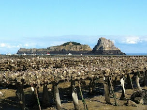 Photo n°23 de Au Pied D Cheval à Cancale ()