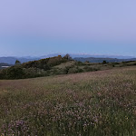 Photo n°2 de l'avis de romina.a fait le 12/05/2024 à 13:43 sur le  Masseria Monte Pizzi à Carovilli
