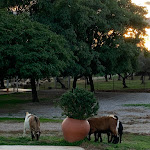 Photo n°9 de l'avis de Anita.h fait le 31/10/2022 à 21:02 sur le  Monte da Boa Vista - Descanso Perfeito à Portel