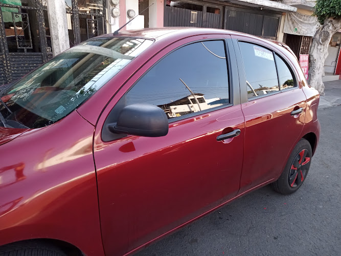 Rótulos, Accesorios y polarizado de Autos "Performance"