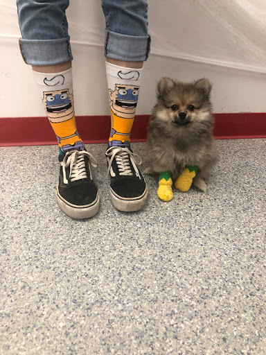 Pet Store «Animal Kingdom», reviews and photos, 5000 S Arizona Mills Cir, Tempe, AZ 85282, USA