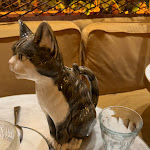 Photo n° 8 de l'avis de Alban.a fait le 10/04/2023 à 20:13 pour Brasserie Martin à Paris