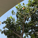 Photo n°14 de l'avis de Karl.e fait le 20/08/2022 à 19:33 sur le  Villa Gianlica à Praiano