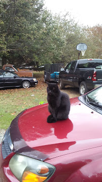 Thompson N' Thompson HVAC, Inc - Photo 6 - Car repair in , Charlottesville