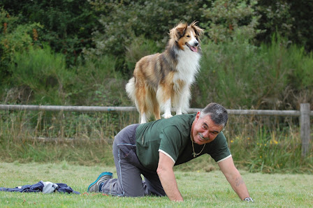 Club d'éducation canine du véron - Avoine