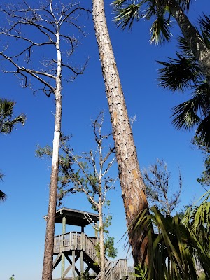 Spruce Creek Park - photo 49