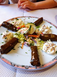 Plats et boissons du Restaurant turc Restaurant Marmaris à Colmar - n°17