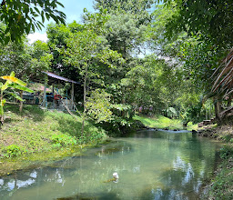 บ้านดงแค้มป์ปิ้งแอนด์รีสอร์ท photo