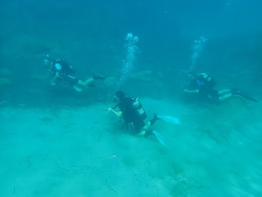 Diving In Pissouri - A & S Day Dive Club