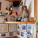 Photo n°9 de l'avis de Walter.u fait le 04/01/2020 à 17:02 sur le  Carla's Bar Restaurant à Agordo