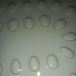 Photo n°1 de l'avis de Ettore.o fait le 18/09/2021 à 20:37 sur le  San Marciano à Syracuse