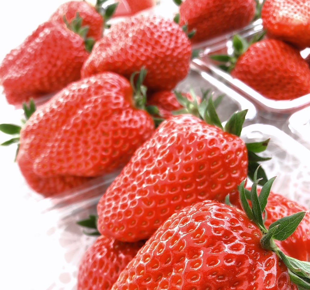 なないろファーム