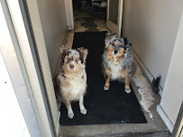 Mike's Garage - Photo 6 - Car repair in Morton, IL, Peoria