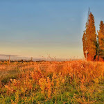 Photo n°2 de l'avis de Stefano.i fait le 17/11/2018 à 09:03 sur le  Hotel Palazzuolo à San Quirico d'Orcia
