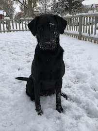 E-Squared LLC - Photo 3 - Car repair in Longmont, CO, Boulder