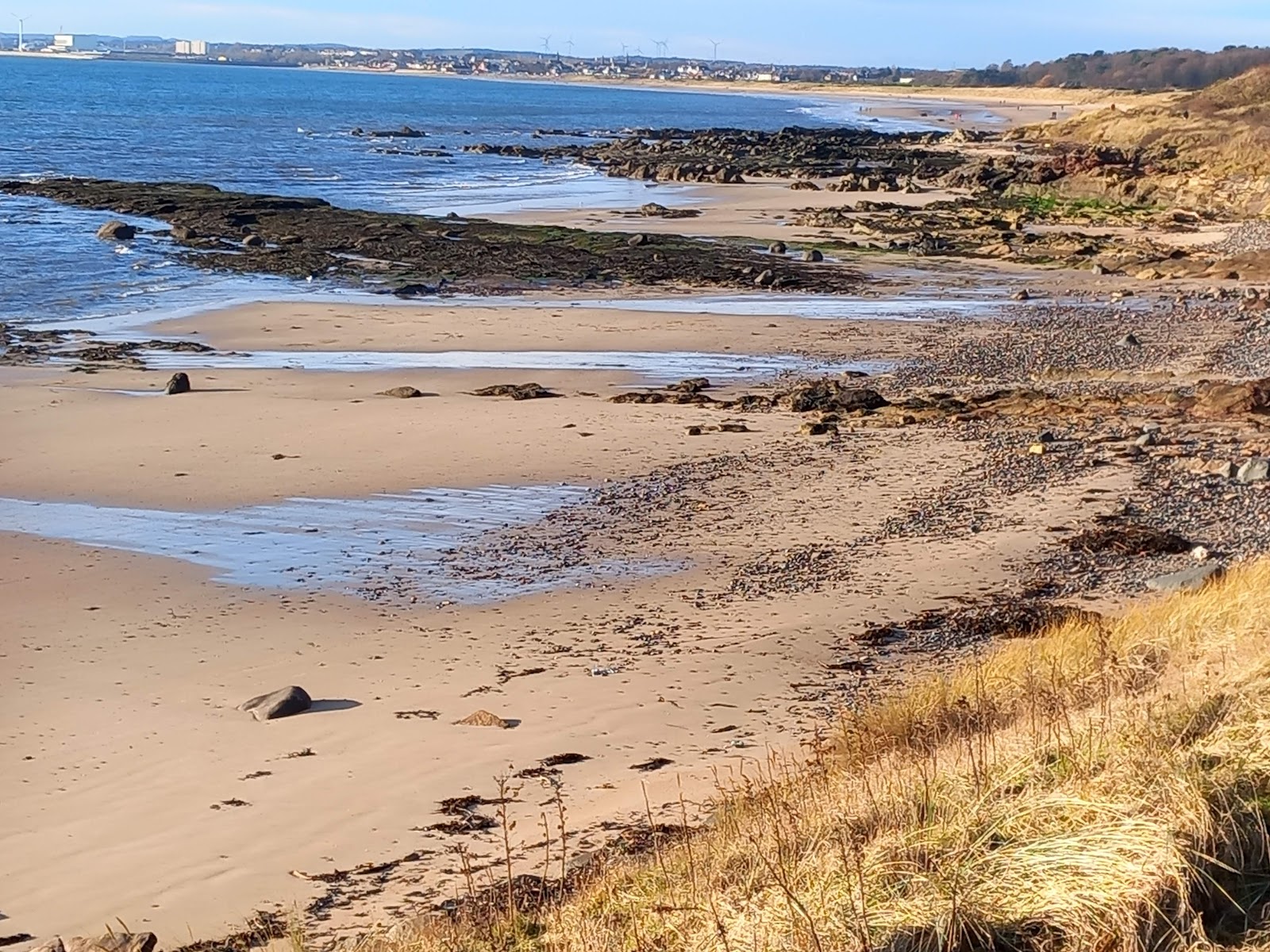 Lower Largo Beach'in fotoğrafı - rahatlamayı sevenler arasında popüler bir yer