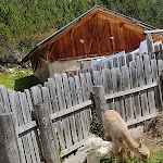 Photo n°7 de l'avis de Maria.r fait le 16/08/2022 à 20:49 sur le  Scotoni Hütte à San Ciascian