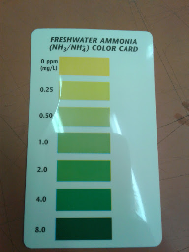 Tropical Fish Store «Petland Discounts - Ridgewood», reviews and photos, 55-52 Myrtle Ave, Queens, NY 11385, USA