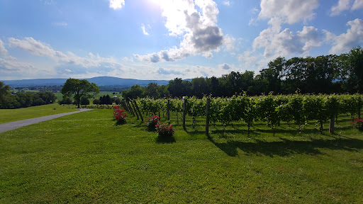 Winery «Mazzaroth Vineyard», reviews and photos, 8333 Myersville Rd, Middletown, MD 21769, USA